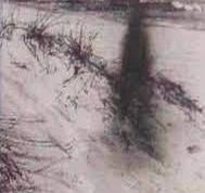 The Gray Man