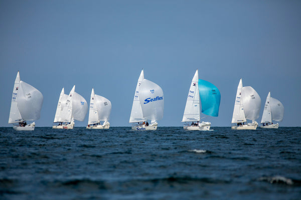 Regatta
