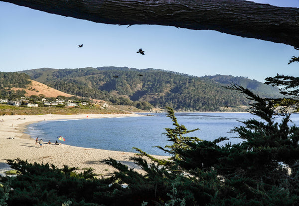 Carmel, CA