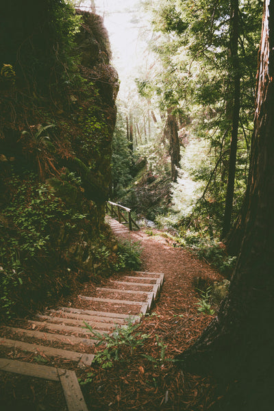 Big Sur, CA